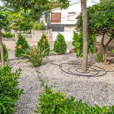 Cap Ras 01 - Con Terraza Y Vistas Daire