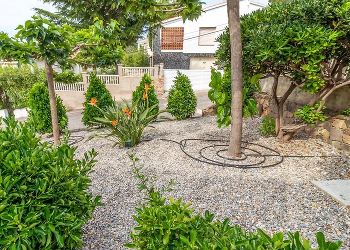 Cap Ras 01 - Con Terraza Y Vistas Daire